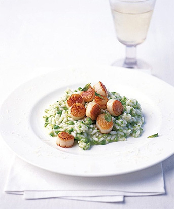 Seared Scallops on Pea & Mint Risotto